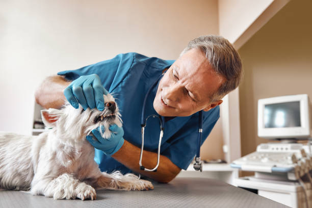 Best Same-Day Emergency Dentist in Fairview, OK